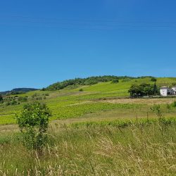 La vue porte loin, pas grand chose pour arrêter le regard