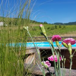 Plaisir des yeux au bord de la piscine